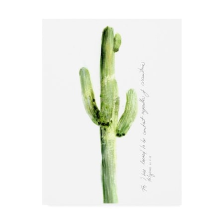 Ingrid Blixt 'Cactus Verse V' Canvas Art,14x19